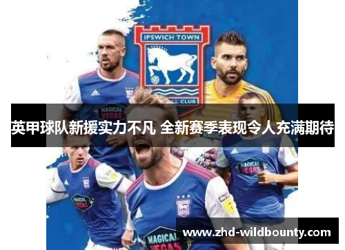 英甲球队新援实力不凡 全新赛季表现令人充满期待