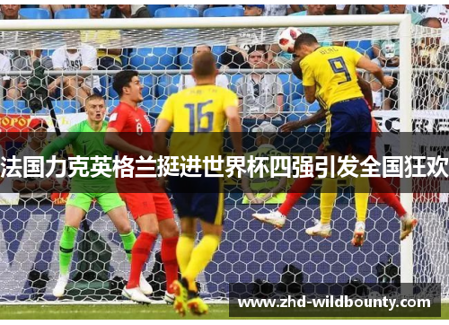 法国力克英格兰挺进世界杯四强引发全国狂欢