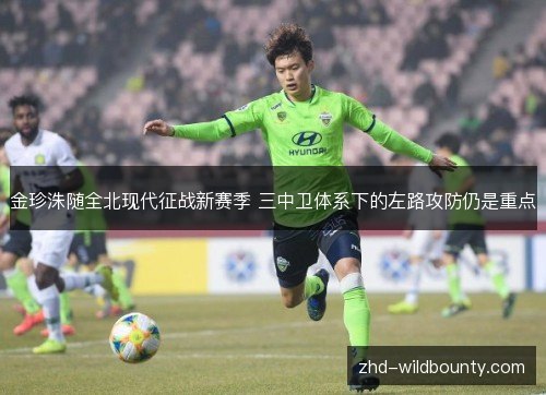 金珍洙随全北现代征战新赛季 三中卫体系下的左路攻防仍是重点 金珍洙随全北现代征战新赛季 三中卫体系下的左路攻防仍是重点